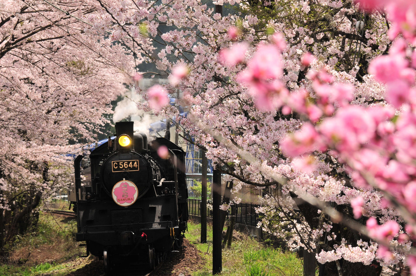 鉄道人(ぽっぽや)キャンプ