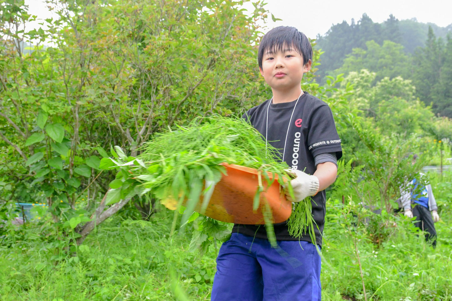 里山体験キャンプ